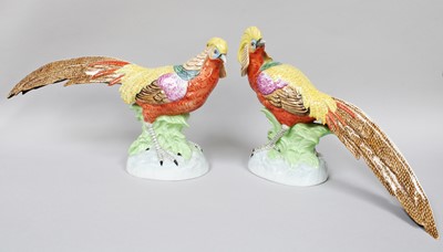 Lot 128 - A Pair of Dresden Porcelain Exotic Birds