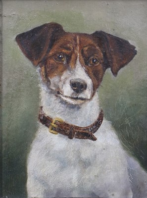 Lot 1145 - W H Gall (19th Century) Jack Russell Terrier...