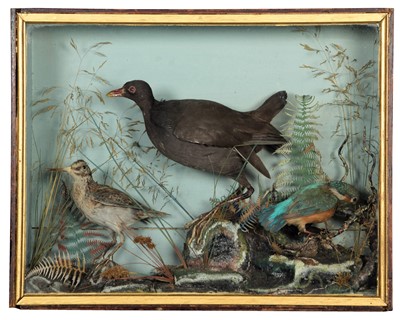 Lot 144 - Taxidermy: A Late Victorian Case of British...