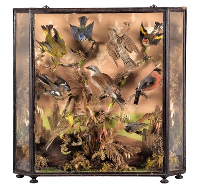 Lot 192 - Taxidermy: A Late Victorian Diorama of British...