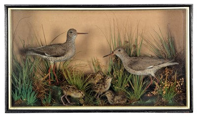 Lot 85 - Taxidermy: A Late Victorian Case of Common...