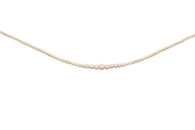 Lot 2105 - A Pearl Necklace the one-hundred and forty...