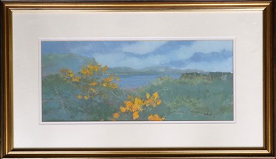 Lot 1078 - Irene Halliday (b.1931) Scottish ''Easdale...