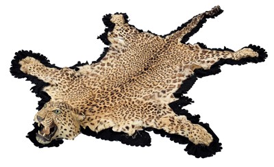Lot 253 - Taxidermy: Indian Leopard Skin Rug (Panthera...