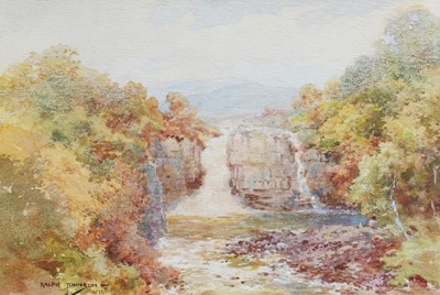 Lot 1030 - Ralph Johnson (20th Century) High Force...