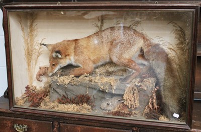 Lot 1249 - Taxidermy: A Cased European Red Fox and Rabbit,...