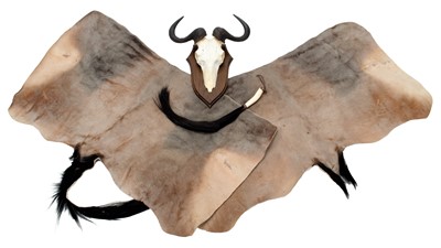 Lot 6 - Horns/Hides: A Set of Western White-bearded...