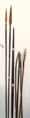 Lot 252 - A Collection of Eleven Tribal Weapons,...