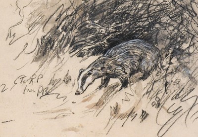 Lot 581 - Peter Biegel (1913-1987) Badger emerging from...