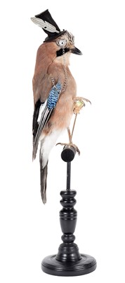 Lot 272 - Taxidermy: The Anthropomorphic Distinguished...