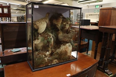 Lot 296 - Taxidermy: A Cased Pair of English Partridge...