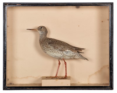 Lot 292 - Taxidermy: A Late Victorian Cased Common...