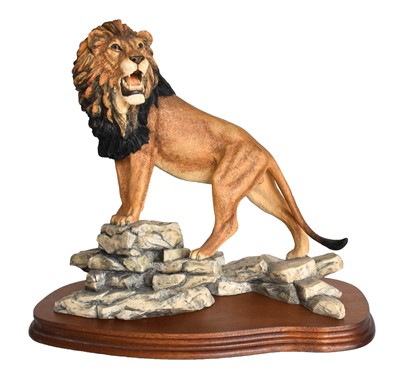 Lot 85 - Border Fine Arts 'African Lion', model No....