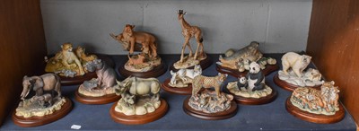 Lot 243 - Border Fine Arts Chiltern 'Endangered Species'...