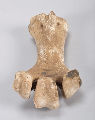 Lot 119 - Skeletons: Eastern Moa Leg Bone (†Emeus...