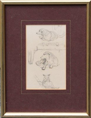 Lot 1077 - William Woodhouse (1857-1937) Study of a horse...