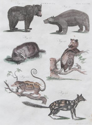 Lot 1073 - A Set of Six Animal Prints, each 24.5cm by 19cm