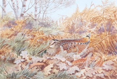 Lot 1008 - John Baxendale (1919-1982) Woodcock nesting...