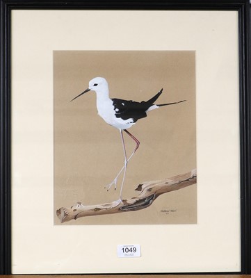 Lot 1049 - Matthew Hillier SWA (b.1958) Black-Winged...