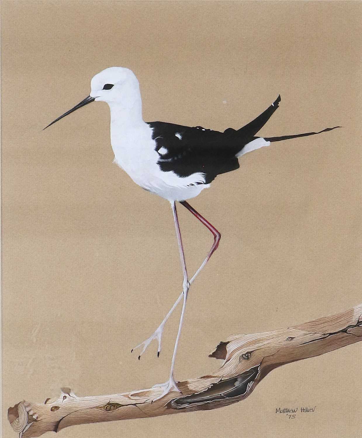 Lot 1049 - Matthew Hillier SWA (b.1958) Black-Winged...