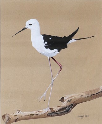 Lot 1049 - Matthew Hillier SWA (b.1958) Black-Winged...