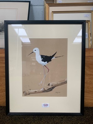Lot 1049 - Matthew Hillier SWA (b.1958) Black-Winged...