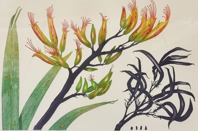 Lot 1106A - Bryan Poole (1953-2002) "Sophora Microphylla"...