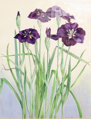 Lot 1103A - Susan Hillier (1940-2019) Purple Irises Signed,...