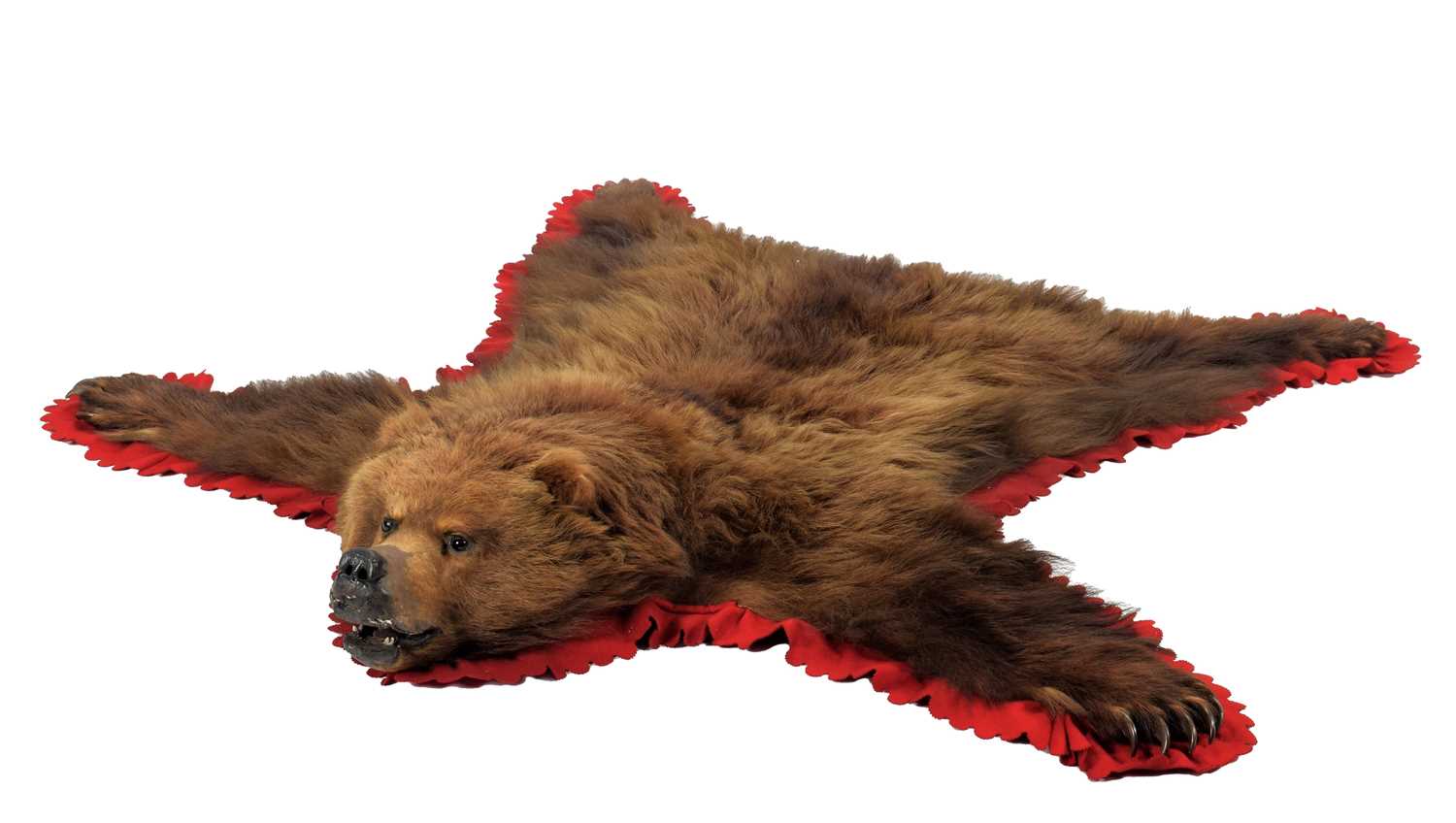 Lot 2021 - Taxidermy: A European Brown Bear Skin Rug