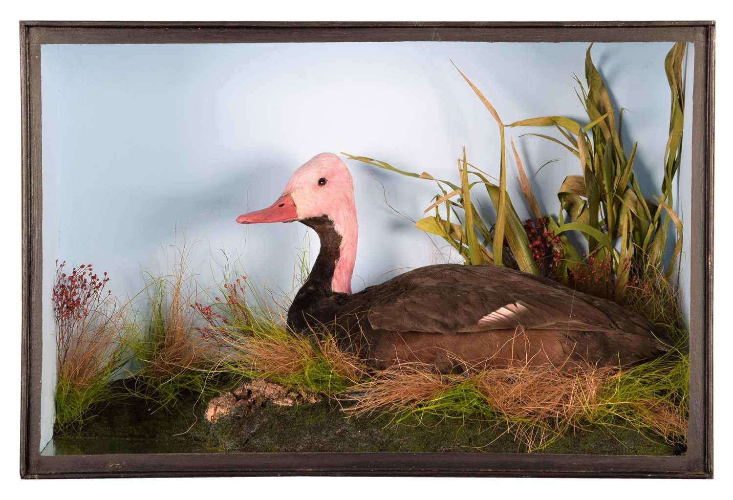 Lot 373 - Taxidermy: A Re-Creation of a Possibly Extinct...