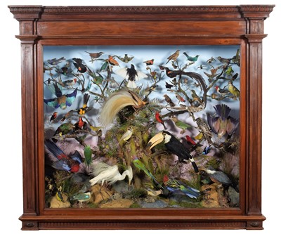 Lot 375 - Taxidermy: A Monumental Late Victorian Cased...