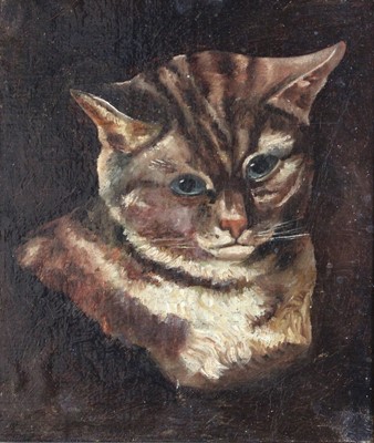 Lot 1039 - British School (20th Century) Study of a cat...