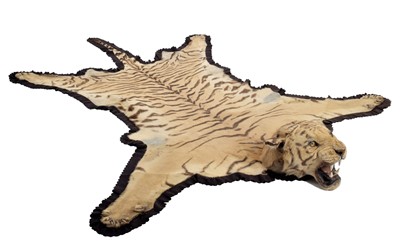 Lot 2084 - Taxidermy: Bengal Tiger Skin Rug (Panthera...