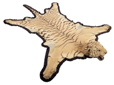 Lot 2084 - Taxidermy: Bengal Tiger Skin Rug (Panthera...