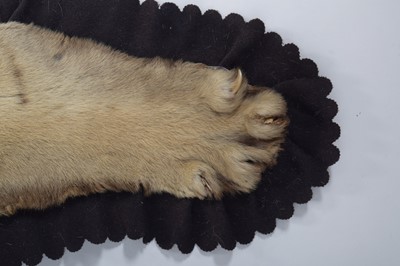 Lot 2084 - Taxidermy: Bengal Tiger Skin Rug (Panthera...