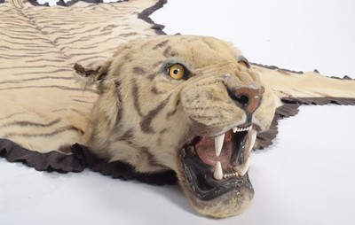 Lot 2084 - Taxidermy: Bengal Tiger Skin Rug (Panthera...