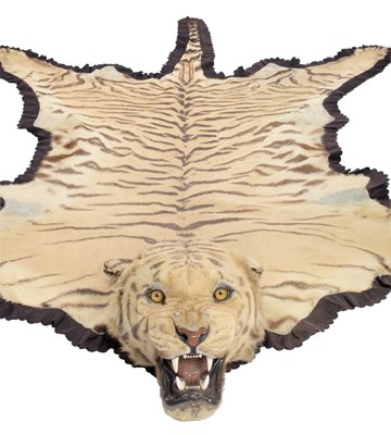 Lot 2084 - Taxidermy: Bengal Tiger Skin Rug (Panthera...