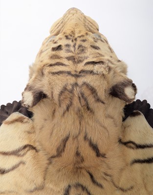 Lot 2084 - Taxidermy: Bengal Tiger Skin Rug (Panthera...