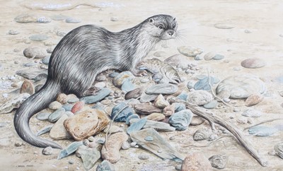 Lot 1051 - David Parry SWLA (b.1942) Otter on the beach...