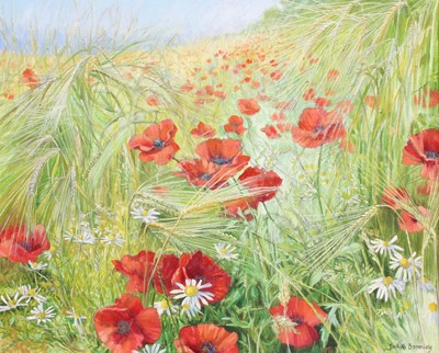 Lot 1339 - Judith Bromley (Contemporary) Poppy field...