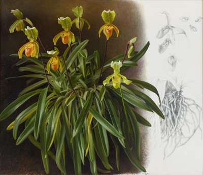 Lot 85 - Raymond Booth (1929-2015) “Orchids and Roots”...