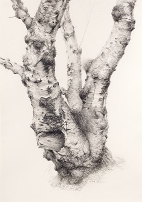 Lot 1001 - Raymond Booth (1929-2015) “Tree Study” Signed...