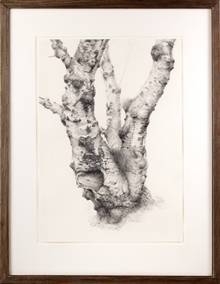 Lot 1001 - Raymond Booth (1929-2015) “Tree Study” Signed...