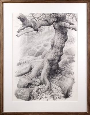 Lot 1000 - Raymond Booth (1929-2015) “Tree Study” (1994)...