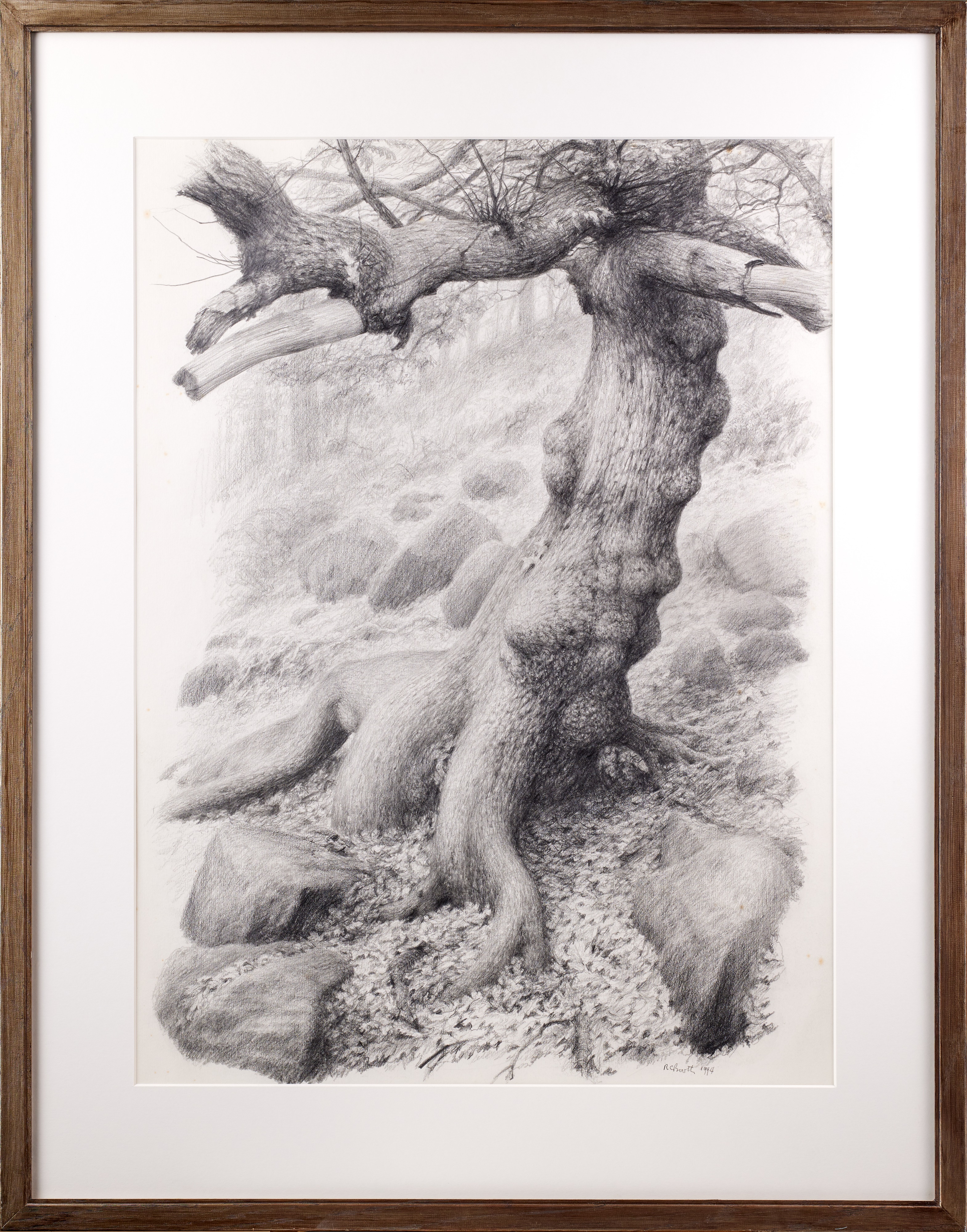 Lot 1000 - Raymond Booth (1929-2015) “Tree Study”