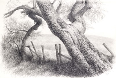 Lot 8 - Raymond Booth (1929-2015) “The Old Tree”...