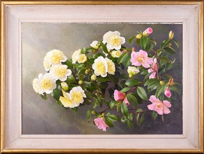 Lot 56 - Raymond Booth (1929-2015) “Camellias Jurys...