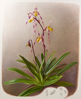 Lot 87 - Raymond Booth (1929-2015) “Orchid” Signed and...