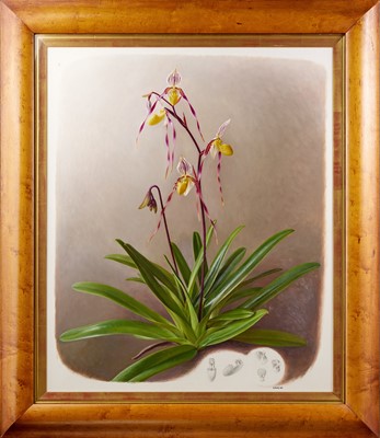 Lot 87 - Raymond Booth (1929-2015) “Orchid” Signed and...