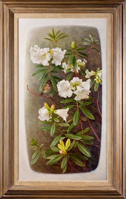 Lot 54 - Raymond Booth (1929-2015) Rhododendron...
